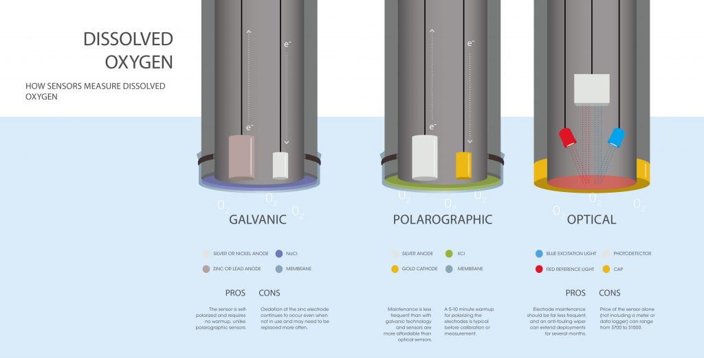 FishSens Magazine How do dissolved oxygen sensors work? Technology