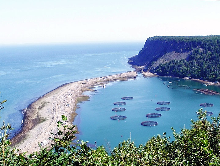 Photo of farmed slamon pens in Dark Harbour, Grand Manan, New Brunswick, Canada.