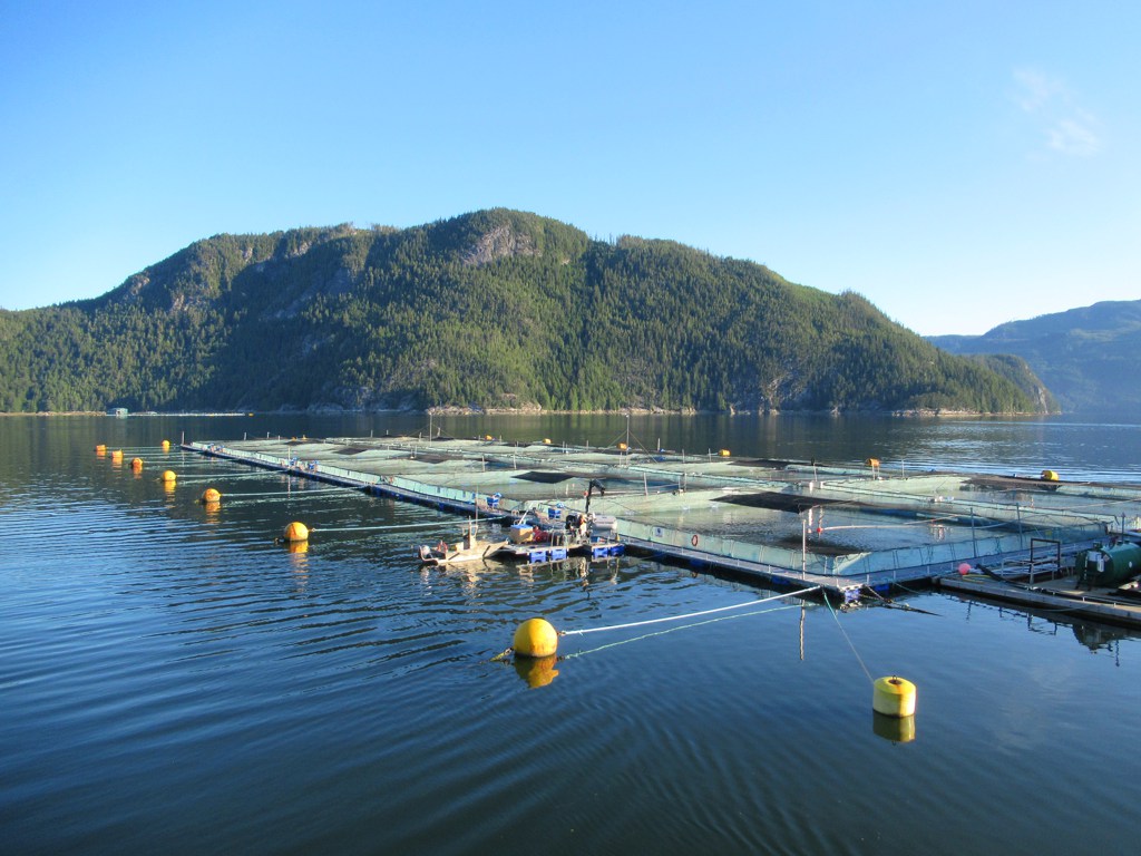 Photo of a salmon farm in Clio Channel, Broughton Archipelago, British Columbia, Canada,