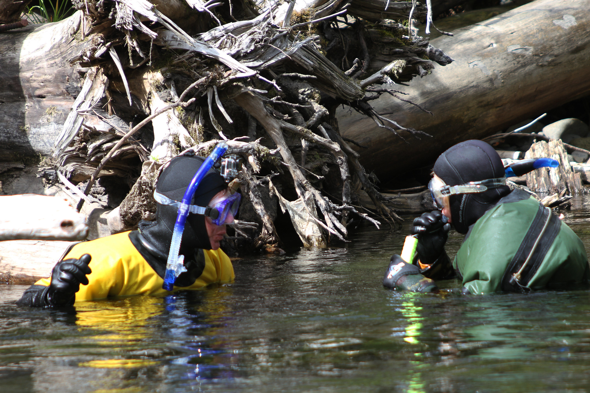 Fish biologist Bruce Zoellick and wildlife biologist Corbin Murphy conducting a fish survey in the Salmon River to inform fishery management.