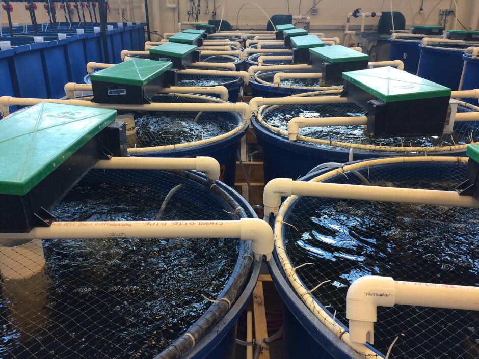 Photo of several aquaculture tanks that that recirculate water--one type of sustainable aquaculture