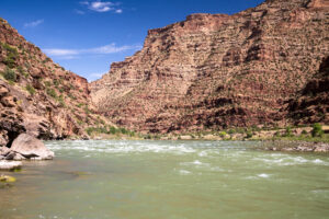 image of the the Green River in Utah which hosts a variety of avian, terrestrial, and aquatic species populations. Such sites are ideal locations for functional diversity studies