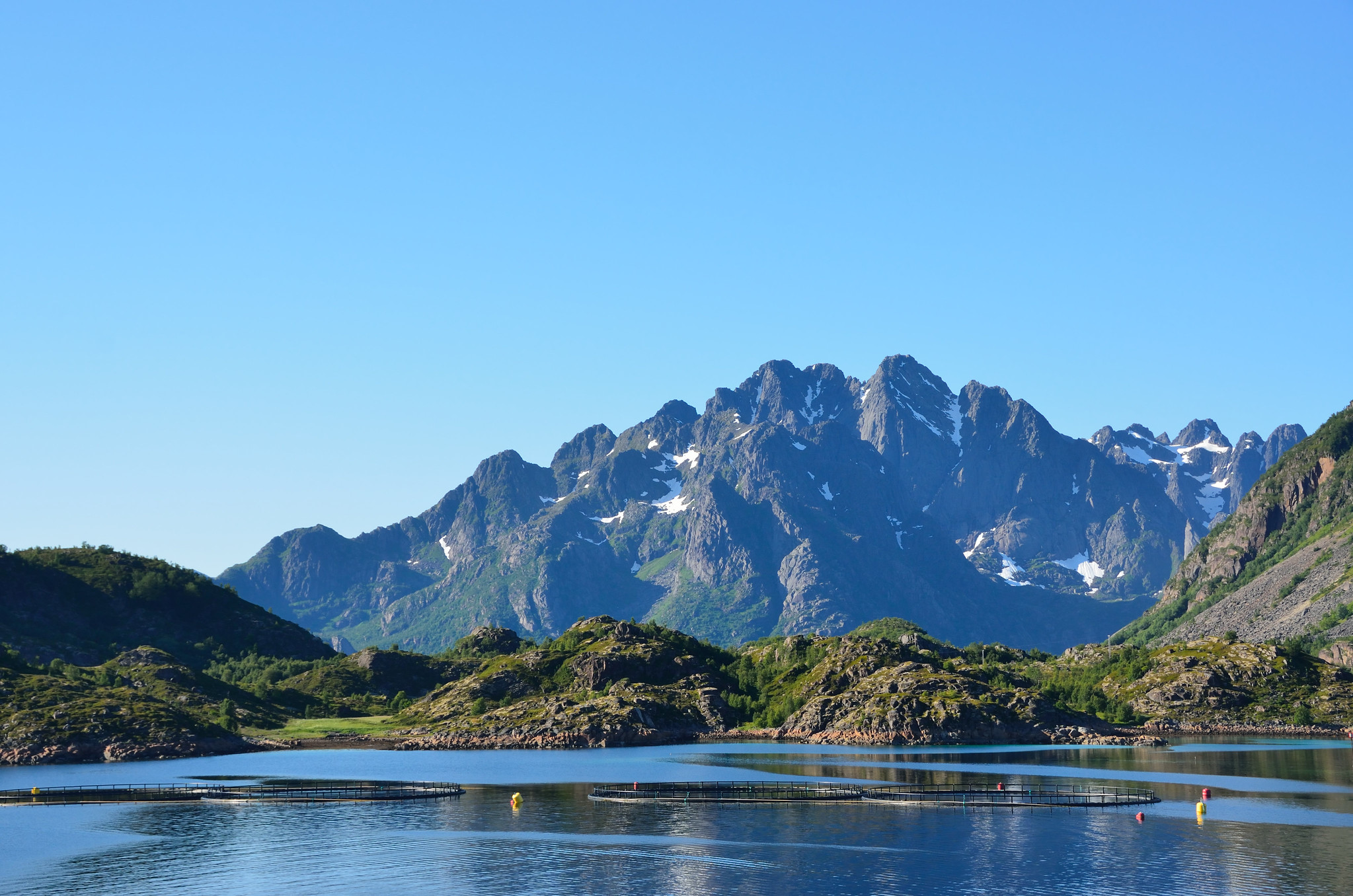 Salmon aquaculture pens where water quality monitoring help ensure dissolved oxygen and temperature conditions meet species needs.