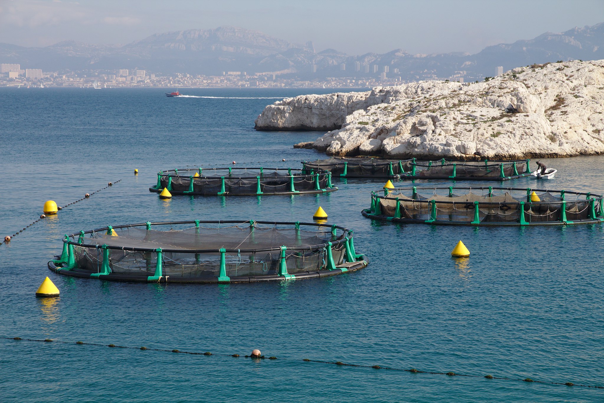 Open-water aquaculture operations