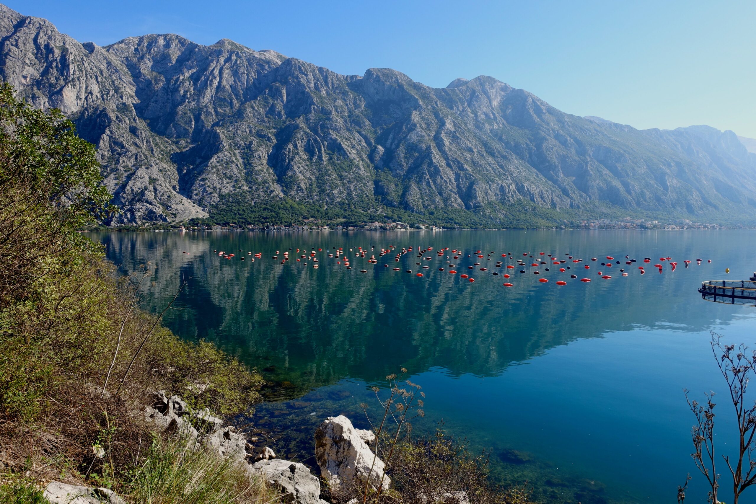 Fish farming in Monetnegro