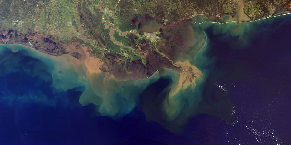 Harmful algal blooms, dead zones, and fish kills are the results of a process called eutrophication—which begins with the increased load of nutrients to estuaries and coastal waters. The Mississippi River carries millions of tons of nutrient-rich sediment into the Gulf each year.