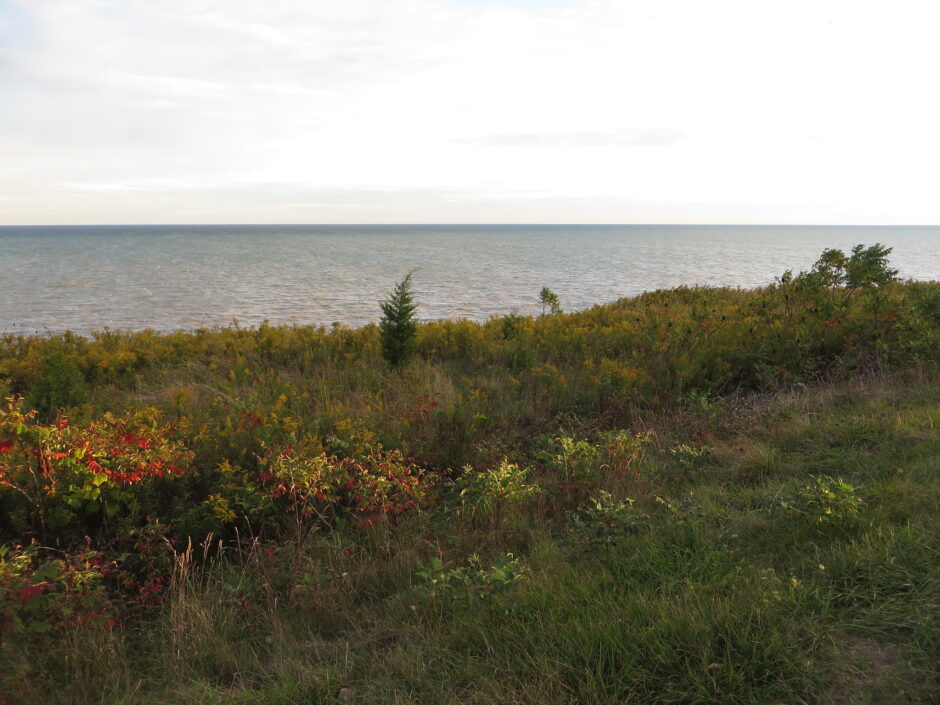 Lake Erie from Chatham-Kent Highway 3, Chatham-Kent, Ontario